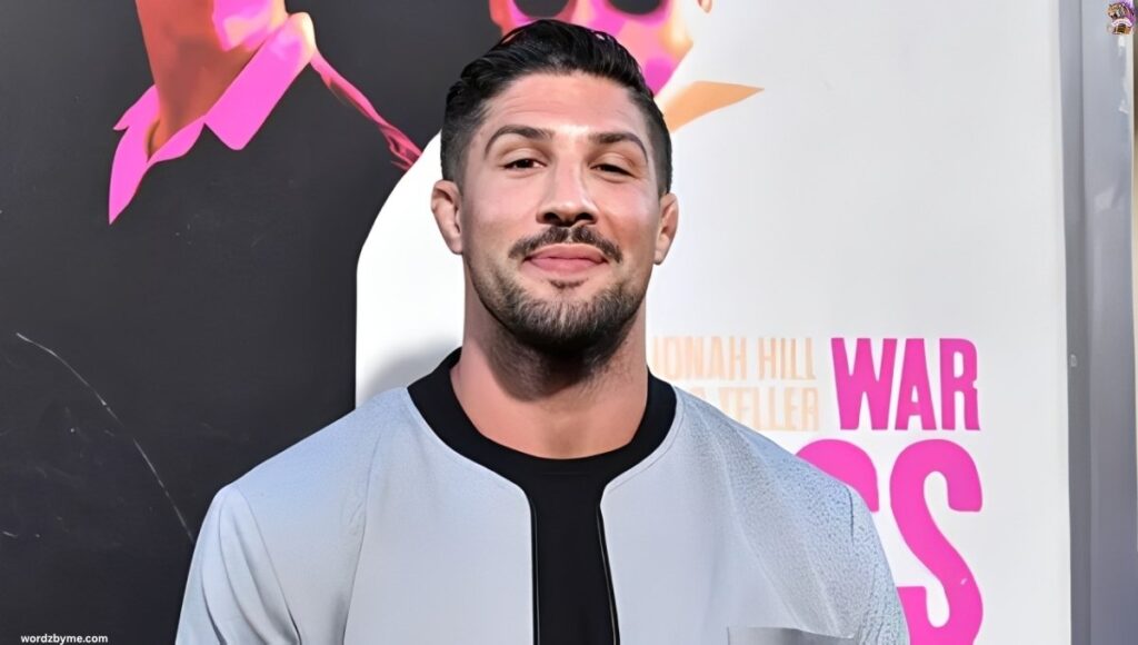 Brendan Schaub Black Belt in BJJ
